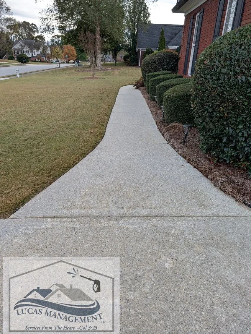 Walkway Cleaning after
